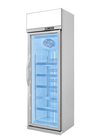 5 Lapisan 450L Pintu Tunggal Komersial Supermarket Display Freezer Plastik Dilapisi Baja