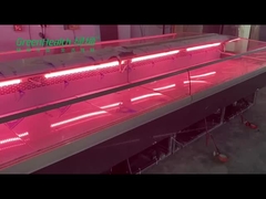 Kulkas Daging Deli Segar Ikan Stainless Steel Untuk Toko Daging