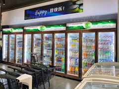 Pintu Kaca Transparansi Tinggi Flat Top Commercial Beverage Coolers Untuk Toko
