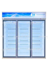Freezer Layar Komersial 5 Lapisan 2 Pintu Vertikal -22 Derajat