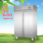 500L Komersial Kecil Tegak Freezer Freezer Satu Lapisan dengan Kompresor Aspera
