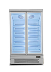 Plug In System Commercial Display Freezer Etalase pintu ganda