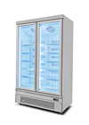 Plug In System Commercial Display Freezer Etalase pintu ganda