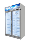 5 Rak yang Dapat Disesuaikan R134 Vertikal Display Freezer Komersial Kulkas Tegak