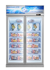 Pintu Kaca Ganda Tegak Layar Komersial Freezer Pencairan Otomatis