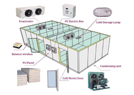 Kustom Ikan Ayam PU Panel Cold Storage Room Berjalan Di Freezer Suhu -18C Sampai 0 C