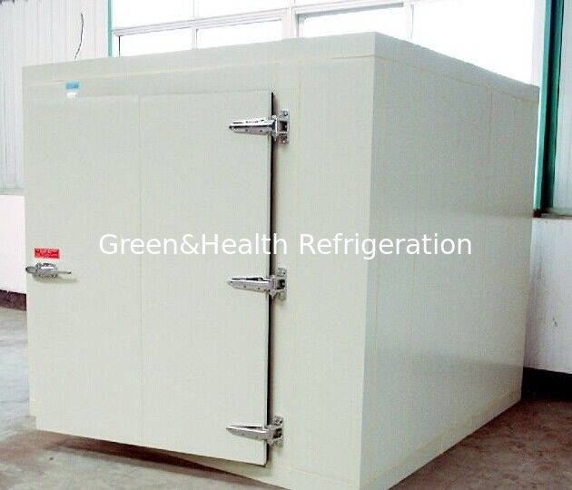 Ruang Penyimpanan Dingin Komersial Untuk Ikan / Air Didinginkan Berjalan Di Freezer Chiller