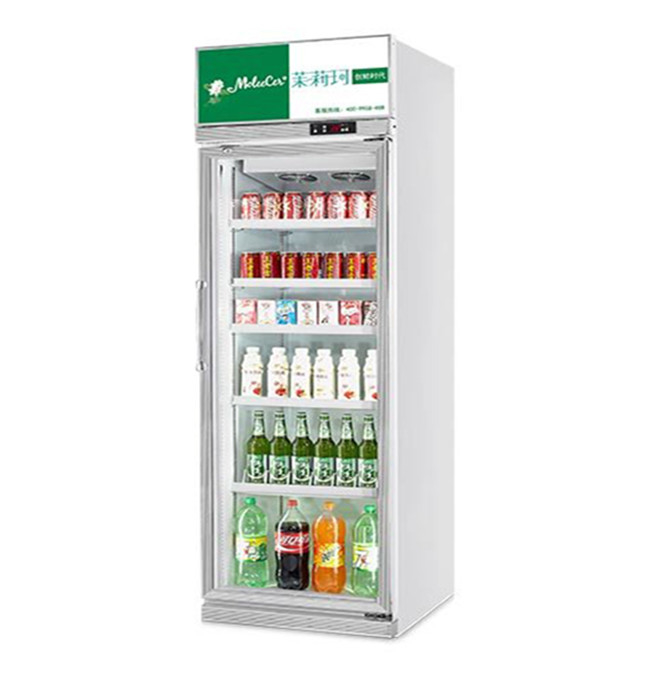 457L Mini Glass Door Display Cooler 1 Door Display Freezer Untuk Standar AS 17 Cu.Ft