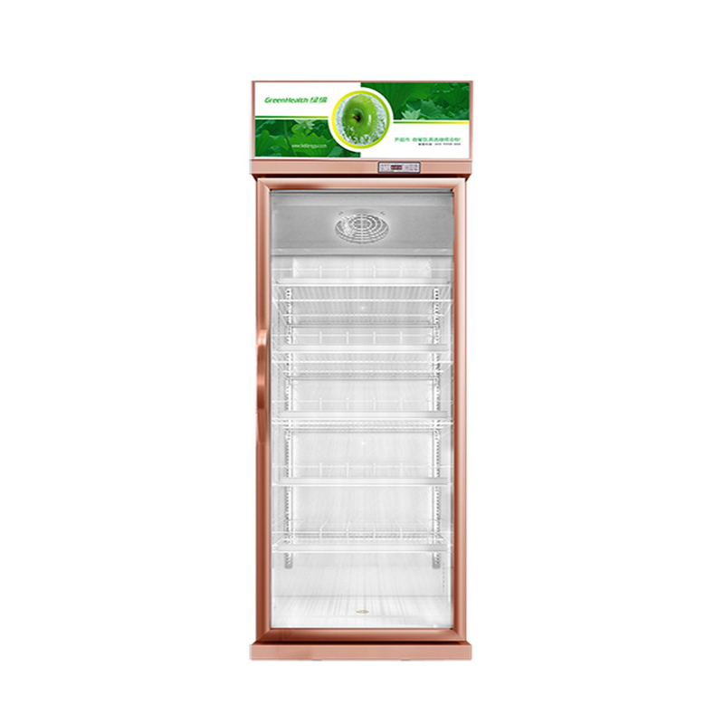 457L Mini Glass Door Display Cooler 1 Door Display Freezer Untuk Standar AS 17 Cu.Ft