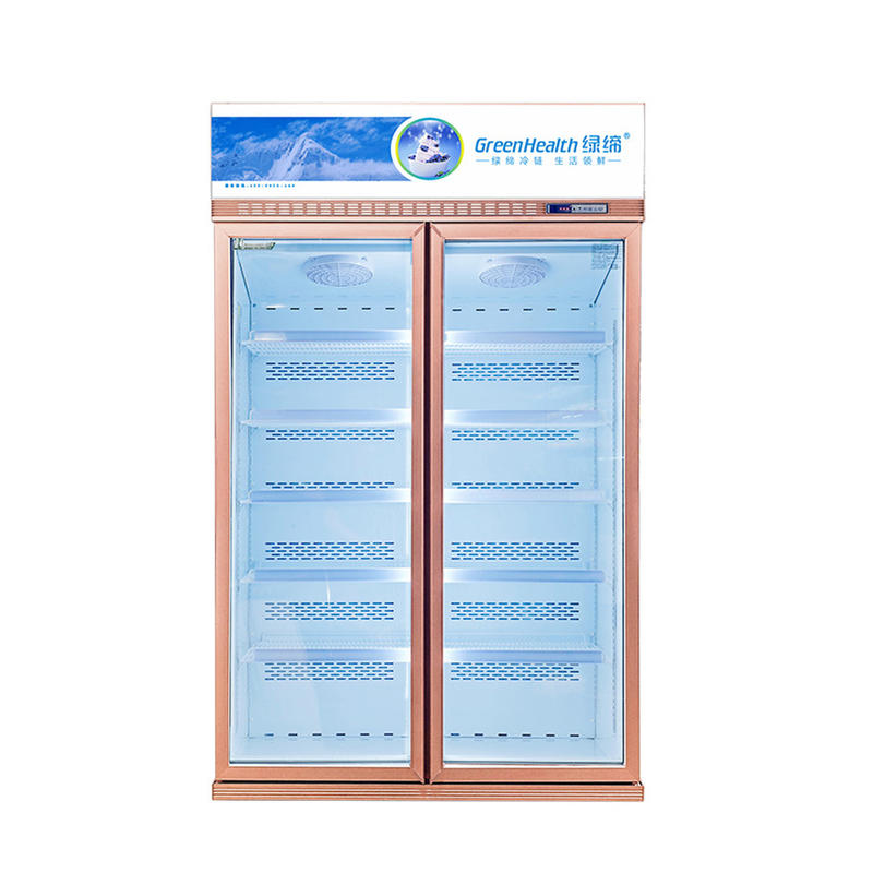 Menghemat Energi Display Komersial Disposable Freezer Untuk Konservasi Produk Pangan