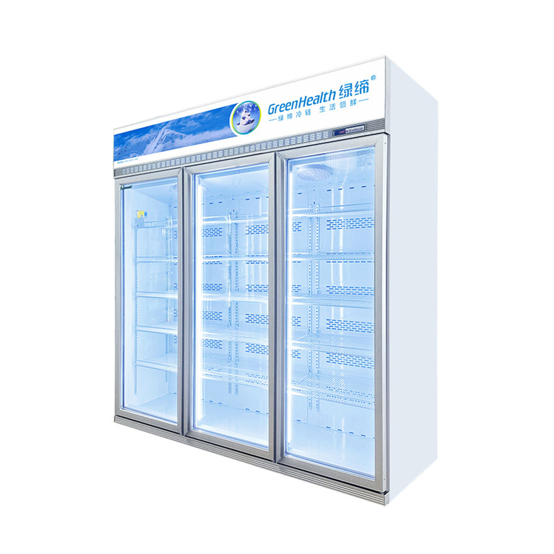 Menghemat Energi Display Komersial Disposable Freezer Untuk Konservasi Produk Pangan