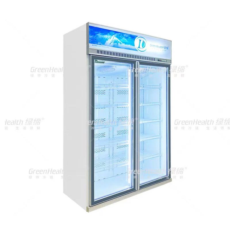 Variable Frequence Commercial Upright 2 Door Display Freezer Dengan Pendingin Kipas Dan LED