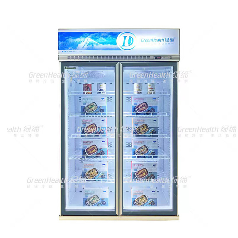Variable Frequence Commercial Upright 2 Door Display Freezer Dengan Pendingin Kipas Dan LED