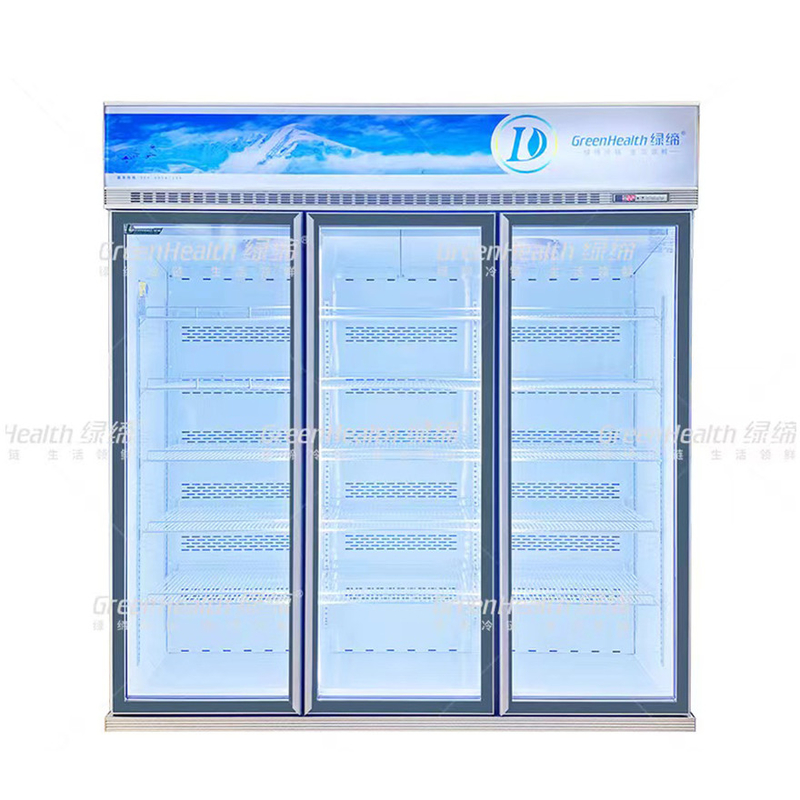Variable Frequence Commercial Upright 2 Door Display Freezer Dengan Pendingin Kipas Dan LED
