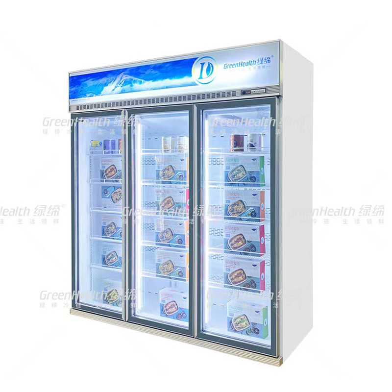 Variable Frequence Commercial Upright 2 Door Display Freezer Dengan Pendingin Kipas Dan LED