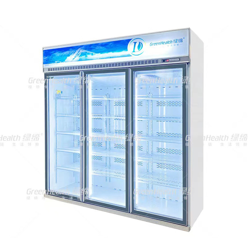 Variable Frequence Commercial Upright 2 Door Display Freezer Dengan Pendingin Kipas Dan LED