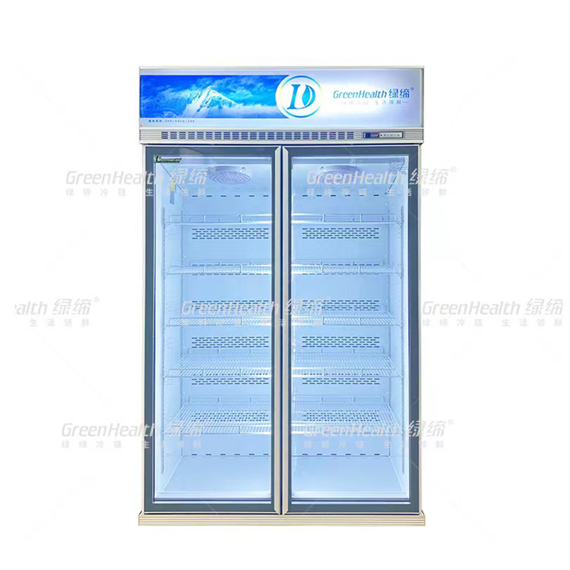 Variable Frequence Commercial Upright 2 Door Display Freezer Dengan Pendingin Kipas Dan LED