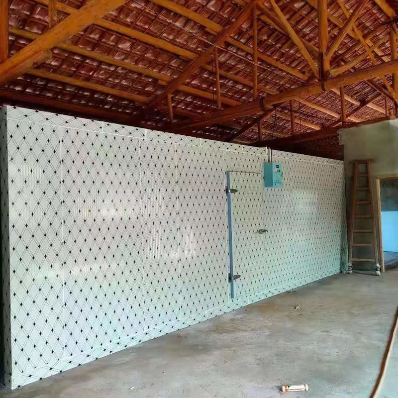 Ruang penyimpanan dingin Walk-In's Cooler Walk-In Freezer dengan sistem pendingin