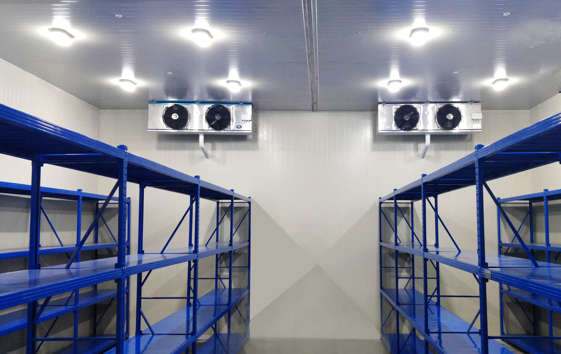Panel PU Ruang Penyimpanan Dingin Walk-In Freezer Ruangan Dingin Modular Dengan Suhu Berbeda