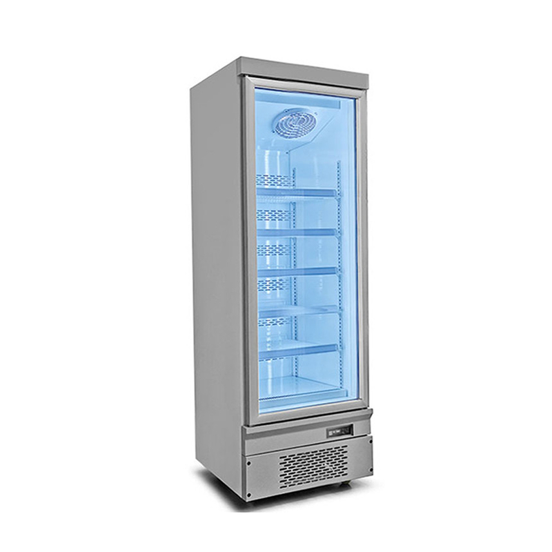 Efisiensi energi 1 2 3 Pintu kaca Freezer dengan Pintu belakang otomatis cepat