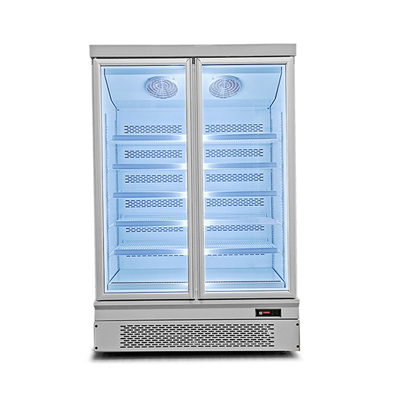 Efisiensi energi 1 2 3 Pintu kaca Freezer dengan Pintu belakang otomatis cepat