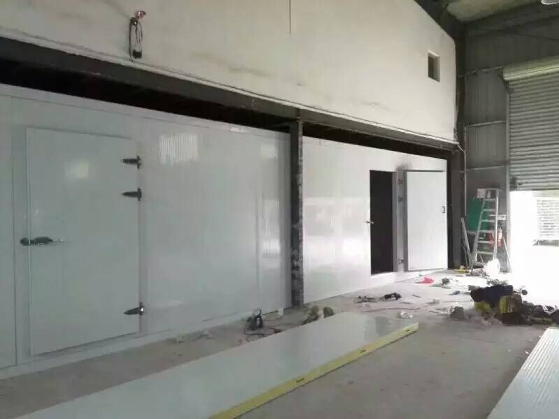 High-Performance Polyurethane PU Sandwich Panel Untuk Ruang Penyimpanan Dingin Walk In Freezer