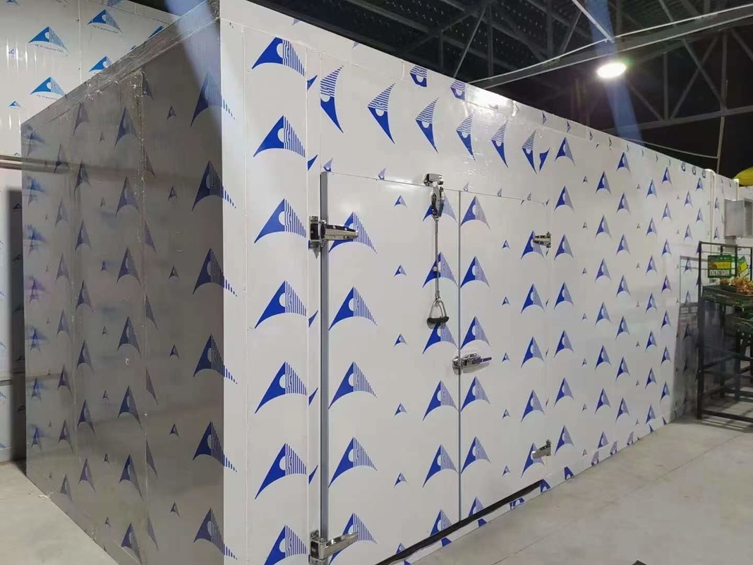 Sayuran dan Buah Cold Storage Kamar Dingin Walk In Freezer Dengan Copeland Condensing Unit