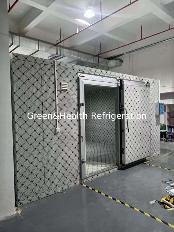Solusi Gudang Rantai Dingin Suara rendah Freezer Walk-in Kamar Freezer Kapasitas Tinggi