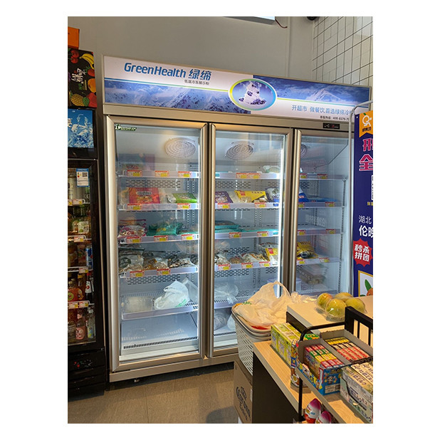 Supermarket / Toko Dengan Tiga Pintu Kaca Dilengkapi Dengan Unit Freezing Display Refrigerator