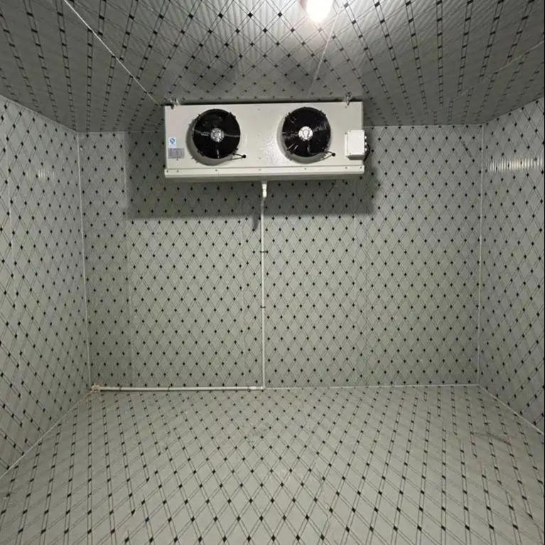 Modular Cold Storage Room Persyaratan pembekuan dalam Kamar dingin dengan suhu dari -18 sampai -22 derajat C