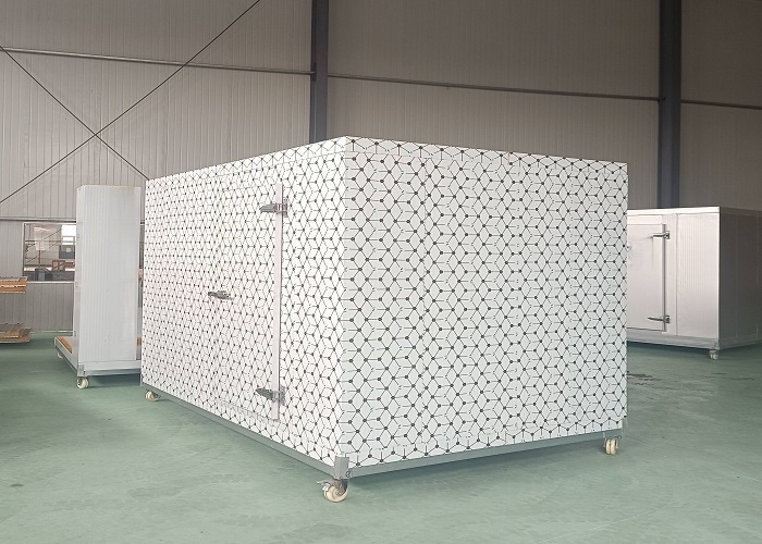 Panel PU Kualitas Tinggi Komersial Walk In Cold Storage Freezer Untuk Buah-buahan dan Sayuran