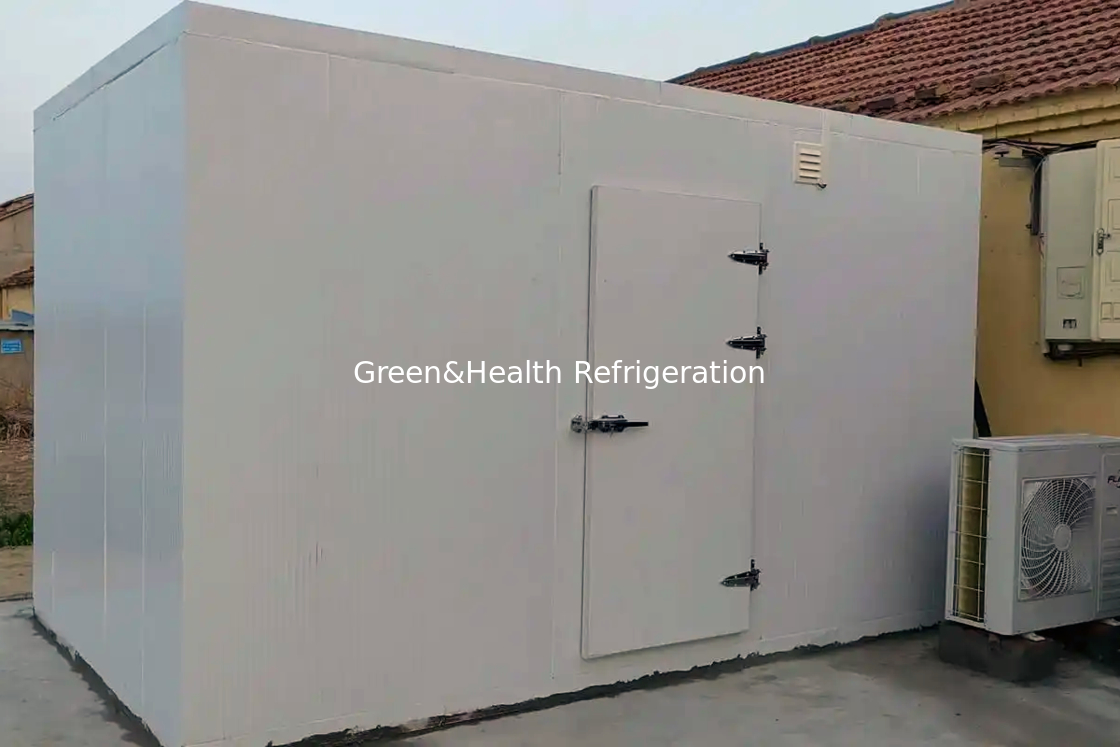 Panel Isolasi PU dan Air Cooler Evaporator Fish Storage Freezer untuk kebutuhan bisnis Anda