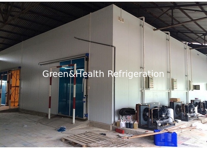 Gudang Penyimpanan Dingin Ruangan Pendingin Berjalan Sandwich Panel Harga Bagus 20 kaki