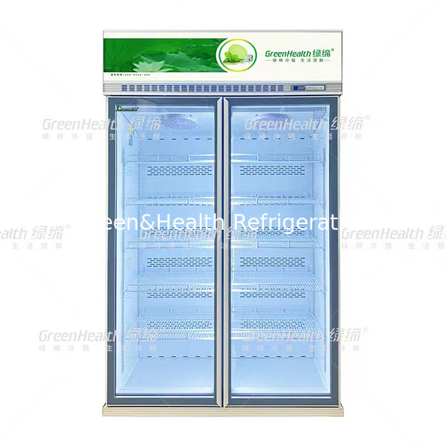 Komersial vertikal dua pintu kaca defogging minuman display freezer dengan pendingin kipas defrost otomatis dan rak yang dapat disesuaikan