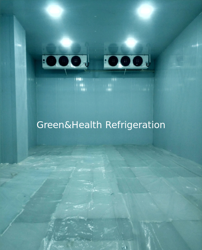 Ruang Penyimpanan Dingin yang Dapat Disesuaikan Tersedia dalam Berbagai Ukuran dan Rentang Suhu untuk Kebutuhan Individual Anda