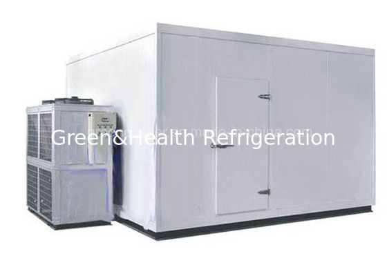 PU Panel Mini Cold Storage Room Walk In Cooler Mudah Mengoperasikan Fener Cooling System Untuk Freezer Daging