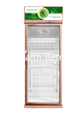 Supermarket Komersial Display Freezer Dynamic Cooling Freshiger kaca tegak