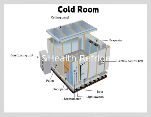 Panel PU Makanan Ruang penyimpanan dingin Restoran Komersial Dapur Walk In Freezer