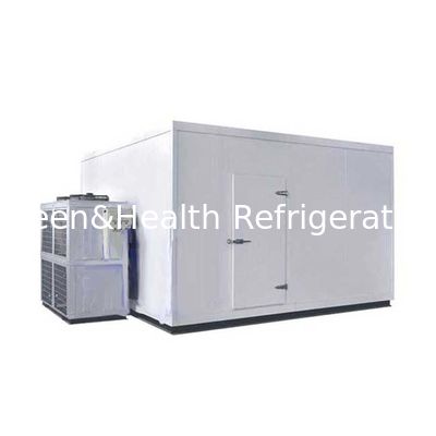 Freezer Walk-In dengan Kontrol Suhu Cerdas