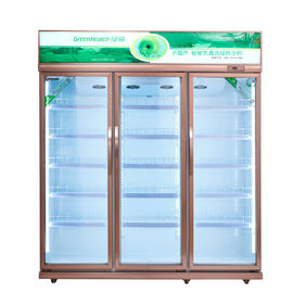 Freezer Tampilan Vertikal Komersial Dengan Suhu Rendah Untuk Daging Seafood