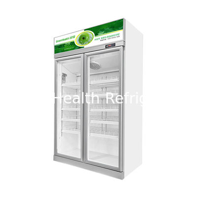 Komersial Double Door Economy Dingin Minuman Display Freezer