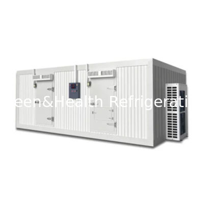 Freezer Kamar Dingin yang Bisa Disesuaikan dengan Panel Isolasi yang awet