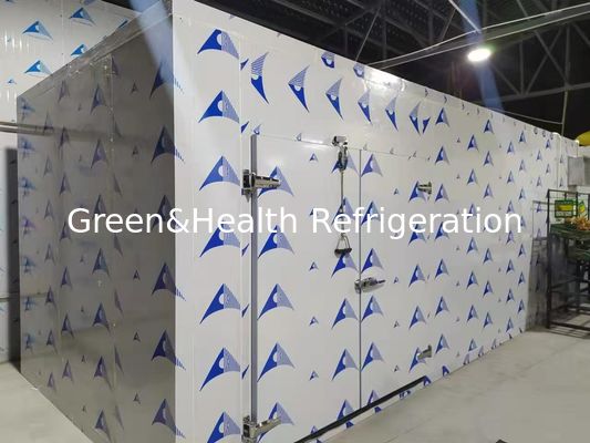 Ruang dingin hemat energi dengan panel PU berkinerja tinggi