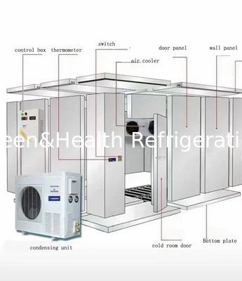 Komersial Walk-in Freezer Kamar Freezer Industri Daging Kamar Freezing Cepat
