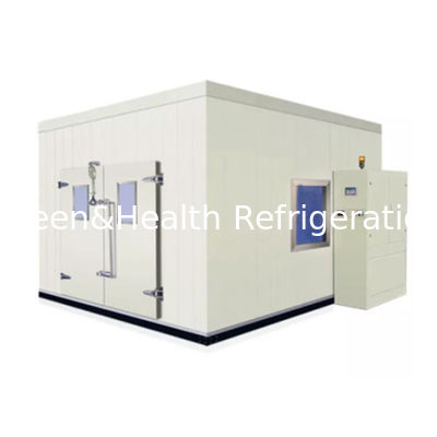 Kompresor sistem pendinginan Ruang penyimpanan dingin Walk In Freezer Dengan panel lantai