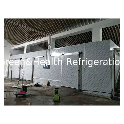 Supermarket komersial besar Buah-buahan/sayuran Penyimpanan beku dan pendingin Penyimpanan dingin