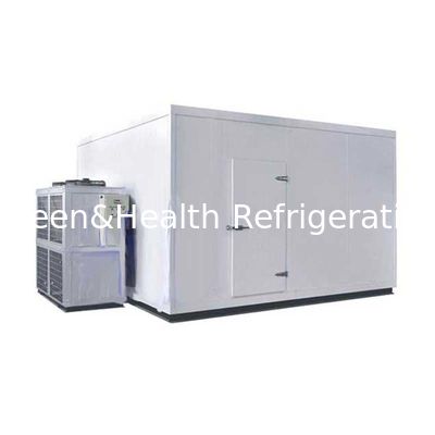 Ukuran Disesuaikan Ledakan Chiller Freezer Gudang Cold Container Copeland Compressor