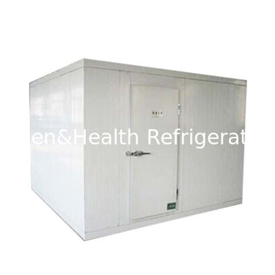 Double-Side Coloured Steel Pu Panel Berjalan Di Kompresor Cold Room Penyimpanan 40ft