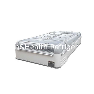Layar Warna Hitam Komersial Freezer Untuk Rak Adjustable Makanan Laut