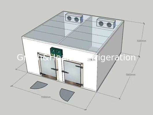 Walk In Freezer Pendingin Suhu Ganda / ruang dingin